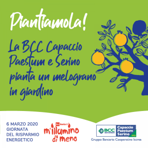 BCC Capaccio Paestum
